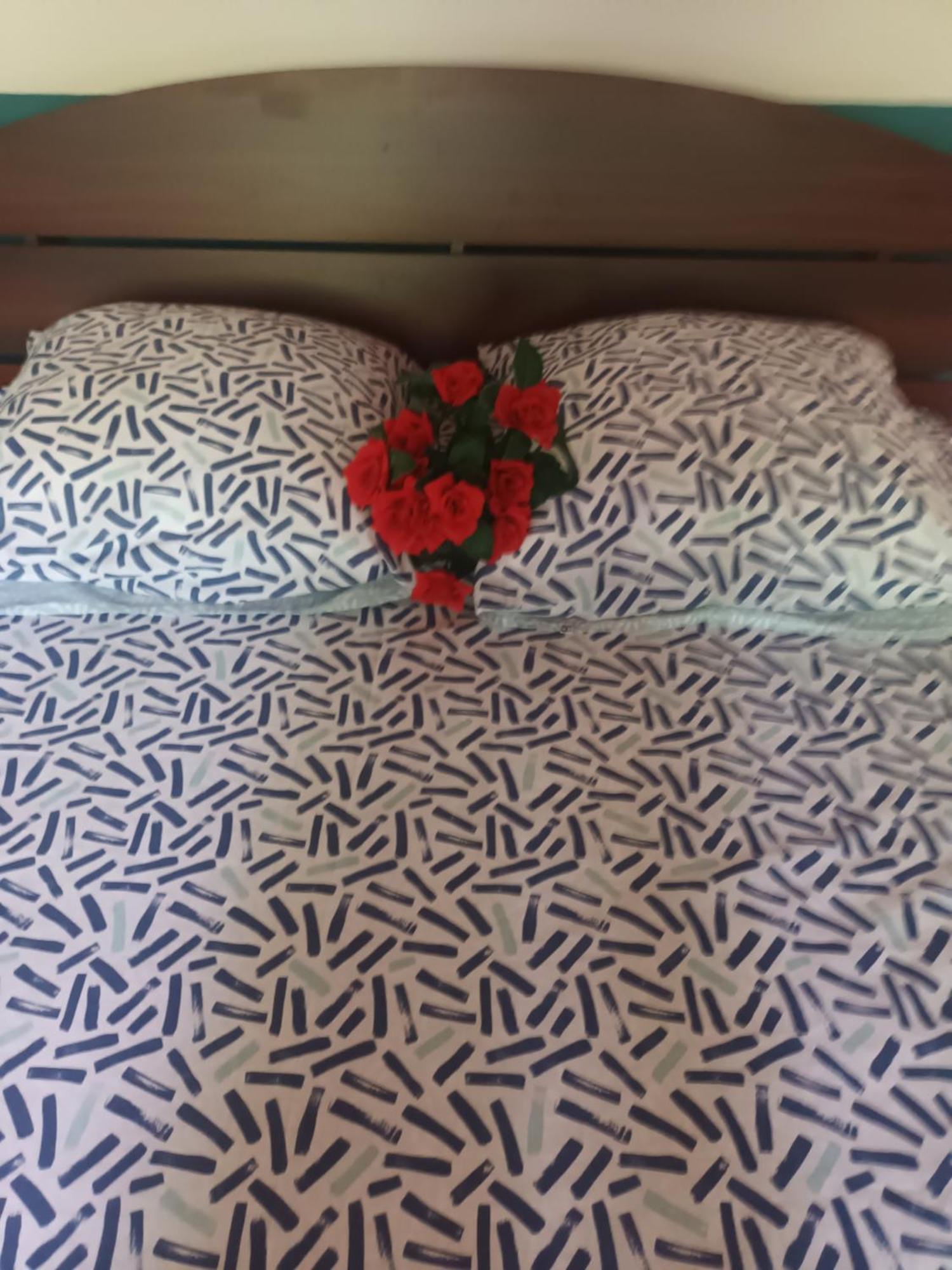 Lovely Flowers In Mount Lavinia Dehiwala-Mount Lavinia Esterno foto
