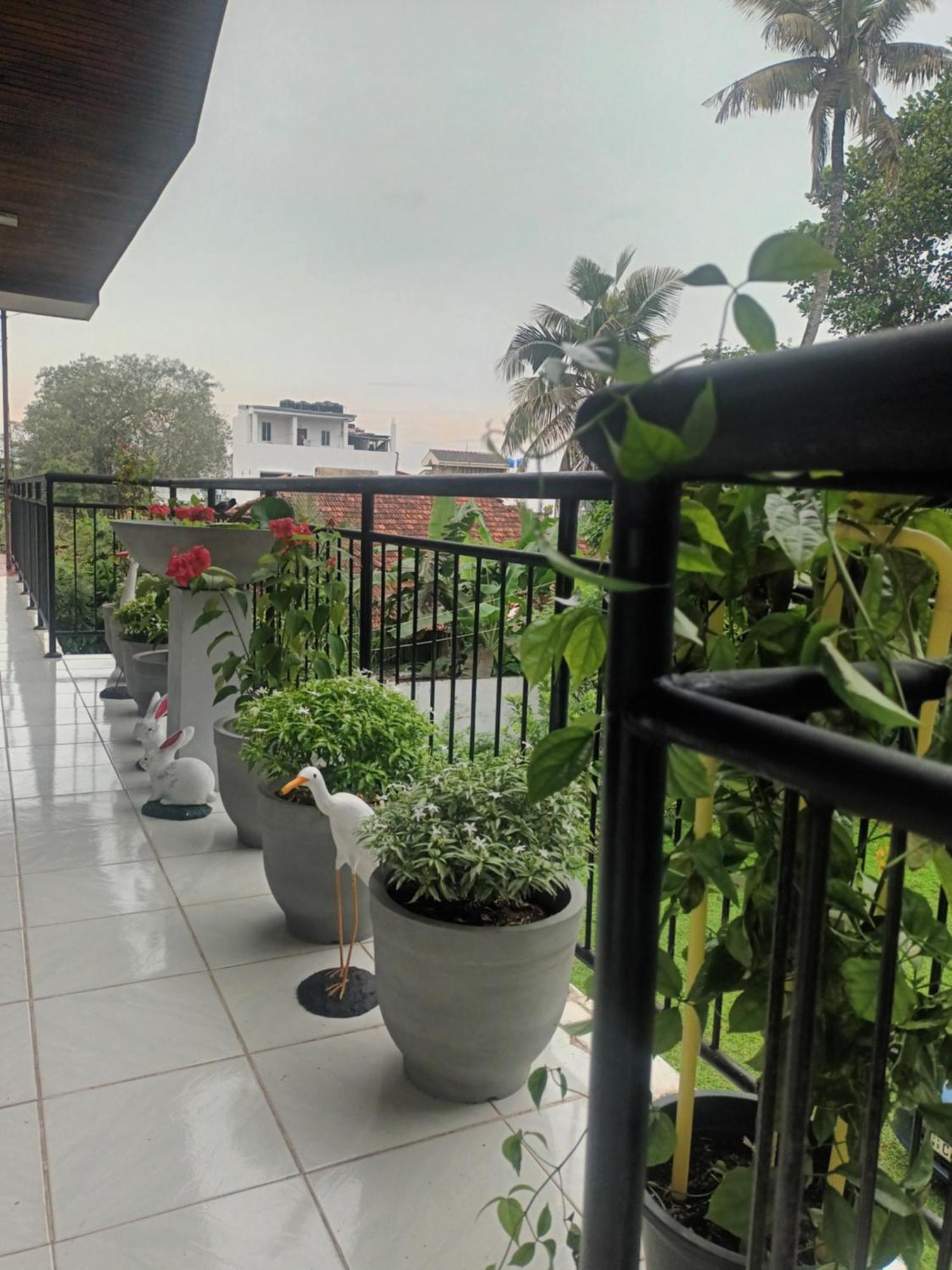 Lovely Flowers In Mount Lavinia Dehiwala-Mount Lavinia Esterno foto